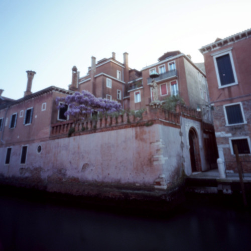 Lilac Garden Venice