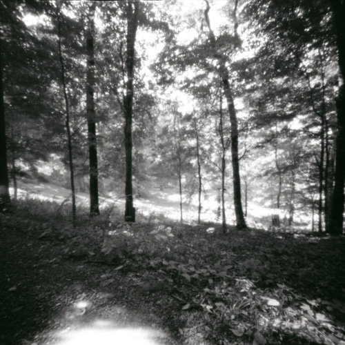 Field of light, Storm King Art Center, 2018