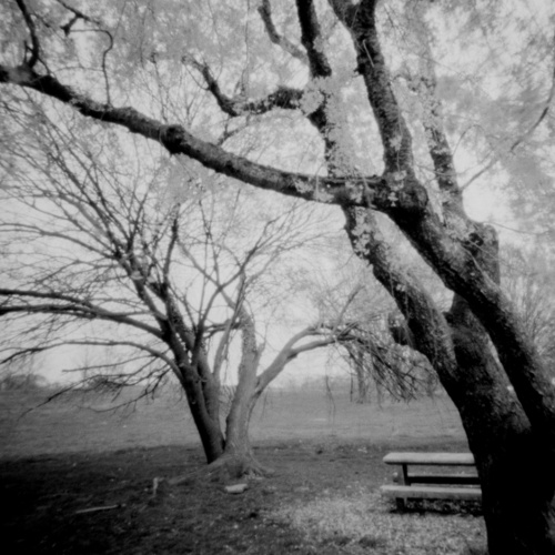 Picnic Bench, 2023