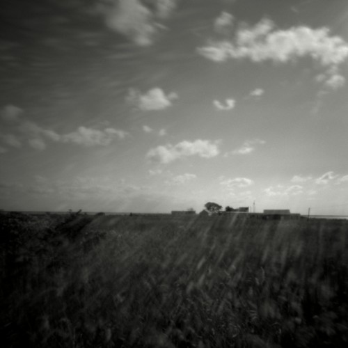 Smith Island Marsh, Smith Island, Maryland, 2008