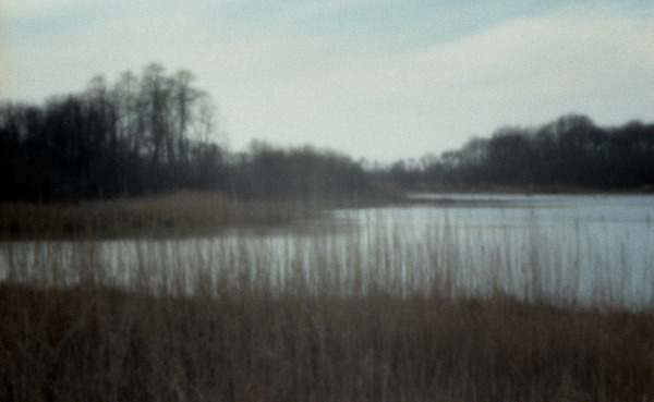 Quiet Pond, 2016