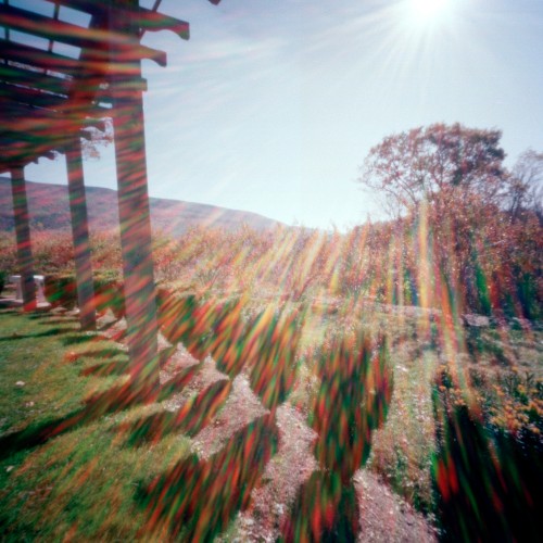 Hildene Shadows, Manchester, Vermont, 2009